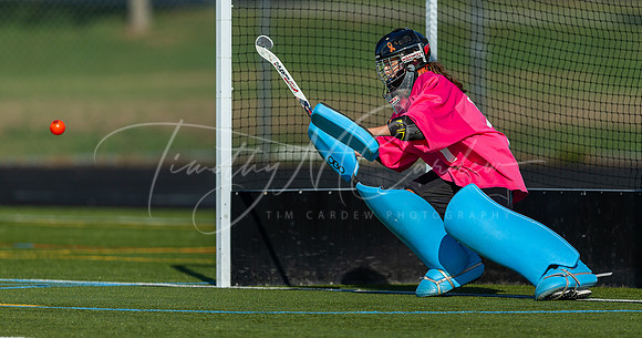 Ipswich vs Newburyport Varsity Field Hockey Game 2022_AB5W3780