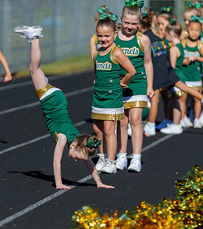 North Reading Youth Football & Cheerleaders vs Ipswich Tigers 2024_2024-09-08_09-31-08_IM1D9440_@TimCardew_2024