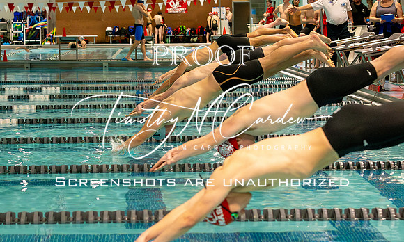 NEC Swim Meet_2025-01-25_04-55-15_IM1D3074_@TimCardew_2025-Enhanced-NR