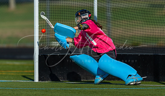 Ipswich vs Newburyport Varsity Field Hockey Game 2022_AB5W3781