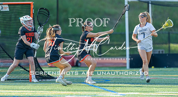 Ipswich GLax vs Cohasset 2024 MA D4 Championship_2024-06-13_06-19-06_DT7T0996_@TimCardew_2024