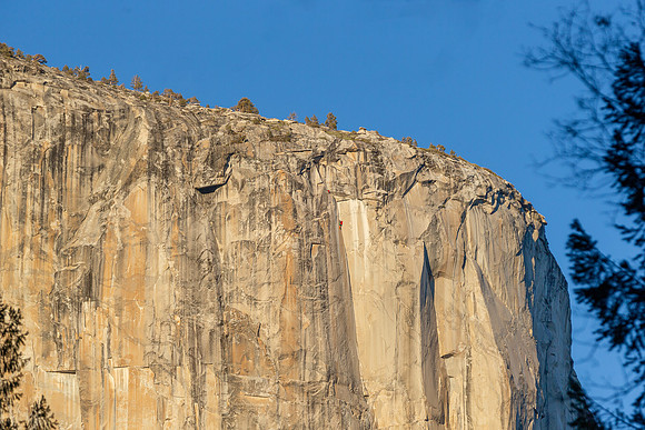 Yosemite National Park_2024-12-09_07-08-41_DT7T6874_@TimCardew_2024
