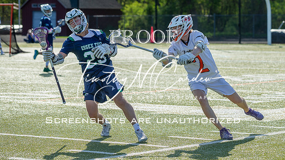 Ipswich BLax vs Essex Tech 2025_2025-05-13_04-54-07_AB5W1906_@TimCardew_2025