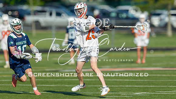 Ipswich BLax vs Essex Tech 2025_2025-05-13_05-36-17_DT7T4141_@TimCardew_2025