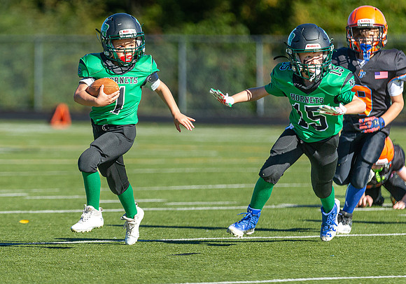 North Reading Youth Football & Cheerleaders vs Ipswich Tigers 2024_2024-09-08_09-23-46_IM1D9281_@TimCardew_2024