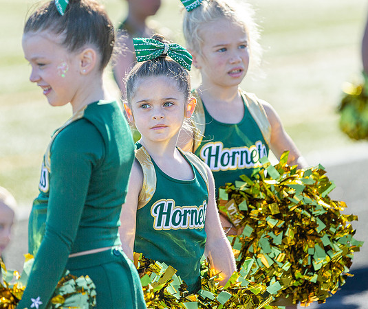 North Reading Youth Football & Cheerleaders vs Ipswich Tigers 2024_2024-09-08_09-14-25_IM1D9160_@TimCardew_2024