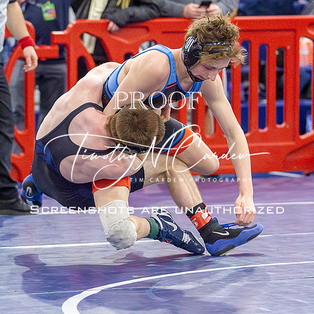 MA D1N 2025 Wrestling Sectionals_2025-02-15_12-35-35_AB5W1364_@TimCardew_2025-Enhanced-NR-2