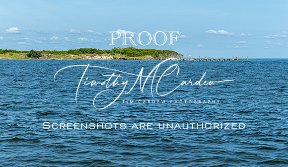 Outer Banks Fishing Charters 2022_2022-07-05_09-08-12_IM1D9119_@TimCardew_2022