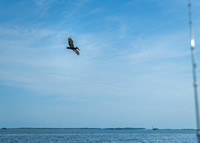 Outer Banks Fishing Charters 2022_2022-07-05_09-53-34_IM1D9249_@TimCardew_2022