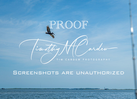 Outer Banks Fishing Charters 2022_2022-07-05_09-53-34_IM1D9249_@TimCardew_2022