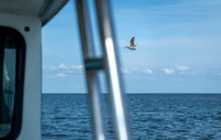 Outer Banks Fishing Charters 2022_2022-07-05_09-53-27_IM1D9235_@TimCardew_2022