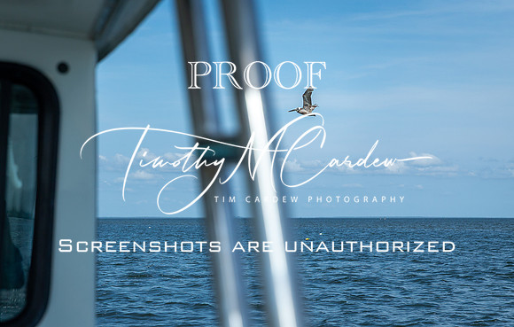 Outer Banks Fishing Charters 2022_2022-07-05_09-53-27_IM1D9235_@TimCardew_2022
