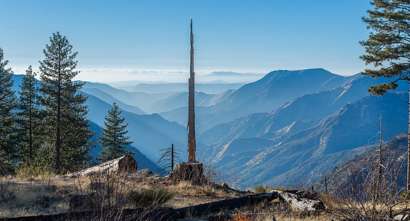 Yosemite National Park_2024-12-09_06-04-53_DT7T6769_@TimCardew_2024