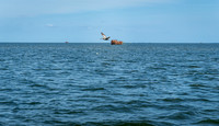 Outer Banks Fishing Charters 2022_2022-07-05_09-53-24_IM1D9233_@TimCardew_2022