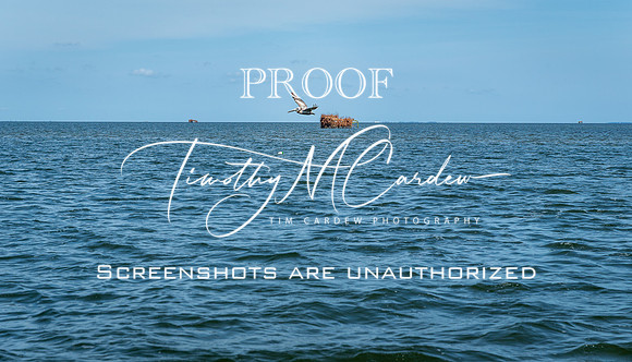 Outer Banks Fishing Charters 2022_2022-07-05_09-53-24_IM1D9233_@TimCardew_2022