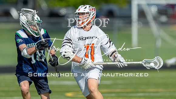 Ipswich BLax vs Essex Tech 2025_2025-05-13_04-31-19_DT7T2749_@TimCardew_2025