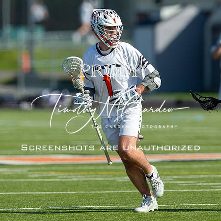 Ipswich BLax vs Essex Tech 2025_2025-05-13_04-40-27_DT7T2938_@TimCardew_2025