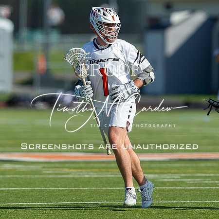 Ipswich BLax vs Essex Tech 2025_2025-05-13_04-40-27_DT7T2939_@TimCardew_2025
