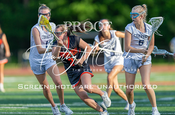 Ipswich GLax vs Cohasset 2024 MA D4 Championship_2024-06-13_05-56-38_DT7T0361_@TimCardew_2024