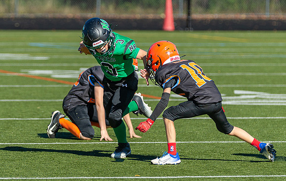 North Reading Youth Football & Cheerleaders vs Ipswich Tigers 2024_2024-09-08_09-17-38_IM1D9184_@TimCardew_2024